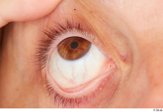 HD Eyes Thelma Tigger eye eye texture eyelash iris pupil…